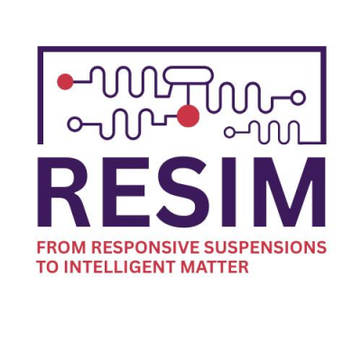 RESIM 2026